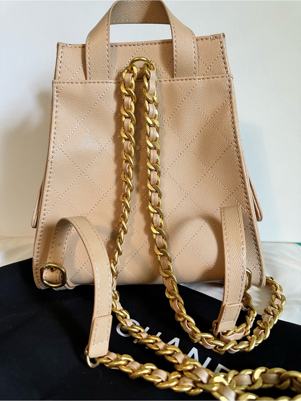 Pale Yellow Backpack - Picture 3 of 7